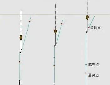 技巧钓鱼（掌握钓鱼技巧）  第2张