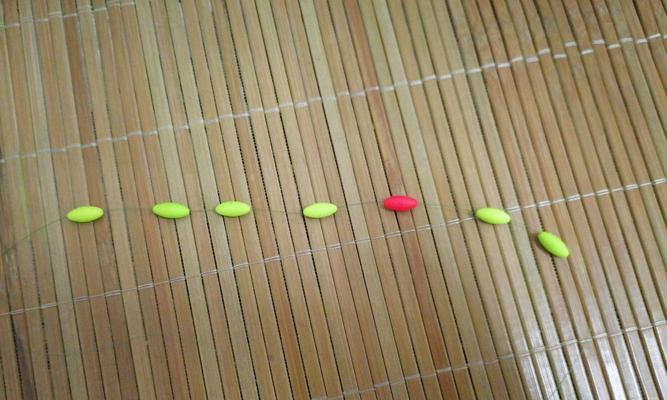 技巧钓鱼（掌握钓鱼技巧）  第3张