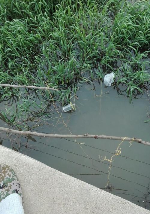 济宁炎热天气钓鱼技巧与方法（钓鱼高手教你如何应对炎热天气）  第3张