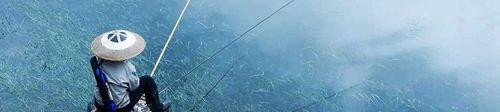 鲫瓜爆连钓鱼技巧（轻松掌握的有效垂钓方法）  第2张