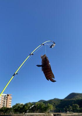 驾驶钓鱼艇的技巧和方法（掌握钓鱼艇驾驶技巧）  第1张