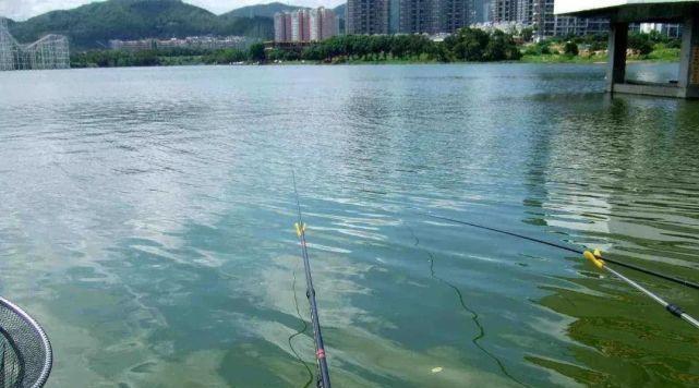 浚县沙坑钓鱼技巧（掌握这些技巧）  第1张
