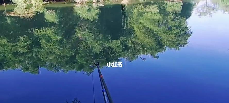 开春河沟钓鱼技巧大揭秘（挑战开春季节）  第1张