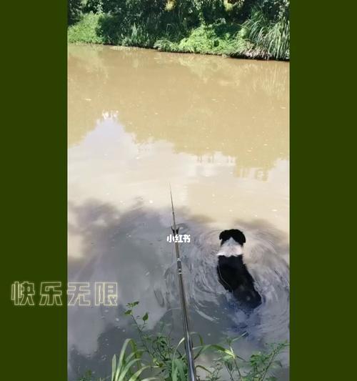 开春河沟钓鱼技巧大揭秘（挑战开春季节）  第2张