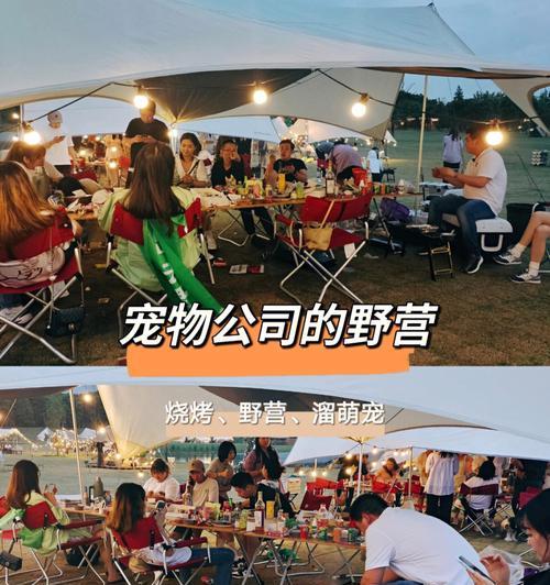 开心萌宠钓鱼技巧（享受快乐时光和自然的乐趣）  第3张