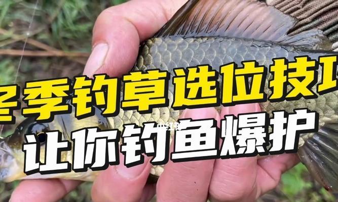 科学钓鱼技巧教学（掌握技巧）  第1张