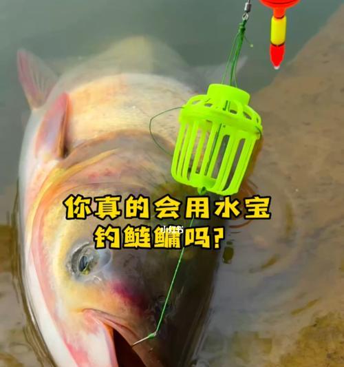 科学钓鱼技巧教学（掌握技巧）  第2张