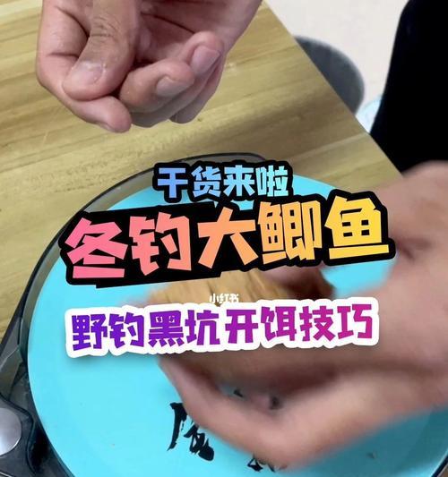 钓鱼技巧大揭秘（掌握关键技巧）  第3张