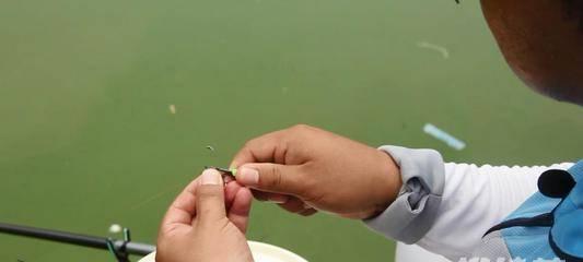 以坑塘钓鱼调漂技巧教程（掌握钓鱼技巧）  第3张