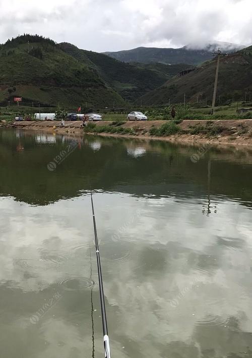 钓鱼达人分享坑塘钓鱼的方法和技巧（技巧、装备、鱼种、时间选择）  第3张