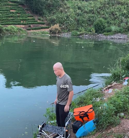 坑洼塘钓鱼技巧大揭秘（掌握关键诀窍）  第3张