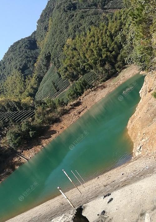 坑洼塘钓鱼技巧大揭秘（掌握关键诀窍）  第2张