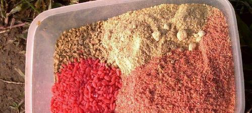 空钩粘饵钓鱼技巧视频（捕获鱼类的实用教程）  第3张