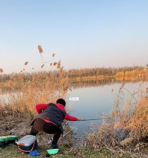 空军大师钓鱼技巧（捕鱼高手的秘密武器）  第3张