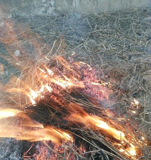 枯草边钓鱼的绝技（掌握技巧钓鱼无往不利）  第1张