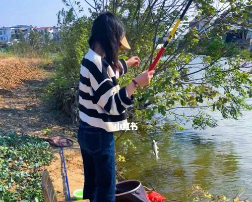 钓鱼技巧教学（让你迅速成为钓鱼高手的关键技巧）  第3张