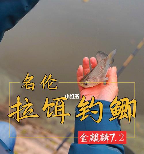提升拉饵上钩钓鱼技巧的秘诀（如何让鱼儿主动上钩）  第2张