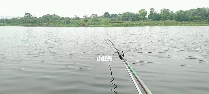烂底塘钓鱼技巧（掌握这些技巧）  第1张