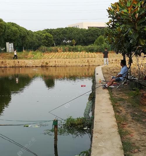 烂泥沟鱼塘钓鱼技巧与方法（掌握正确技巧让你轻松钓到丰收）  第1张