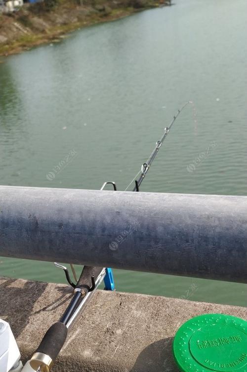 流水风大钓鱼技巧（揭秘流水风大钓鱼的高级技巧）  第3张
