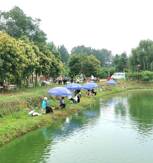流水河钓鱼技巧（畅享垂钓乐趣）  第1张
