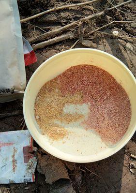 探讨流水浑水钓鱼技巧（增加钓鱼成功率的实用技巧）  第3张