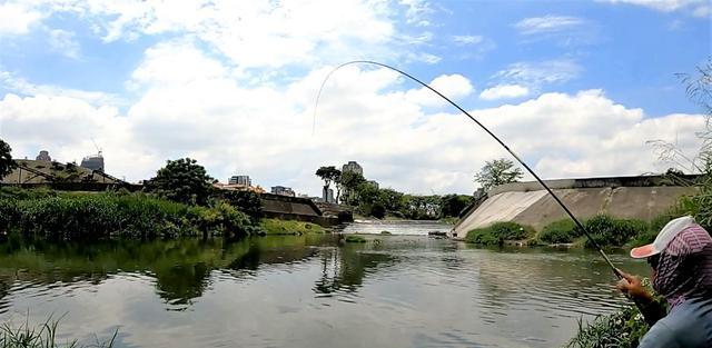 野钓技巧分享——流水拉饵的妙用（大自然的鱼儿在这里等你）  第1张