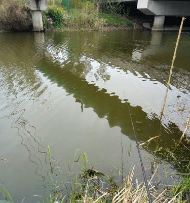 流水双坠钓鱼技巧（掌握关键步骤）  第1张