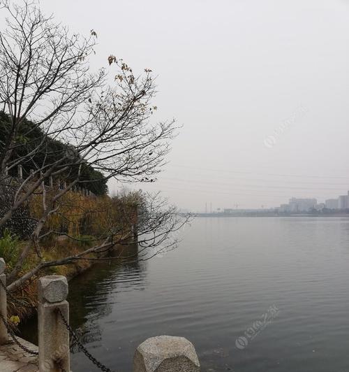 柳州钓友之家（从水中探求宝藏）  第1张
