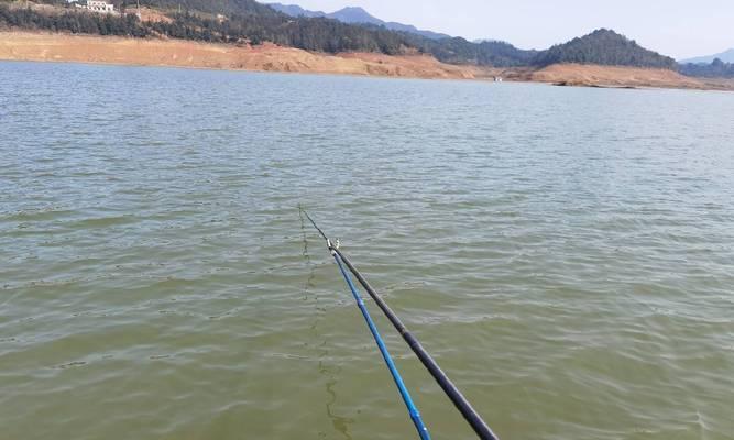 六米水深钓鱼技巧（窥探深水鱼群秘密）  第2张
