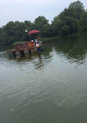 龙洞水库钓鱼技巧（掌握钓鱼技巧）  第2张