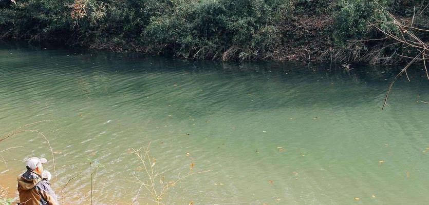 龙洞水库钓鱼技巧（掌握钓鱼技巧）  第3张