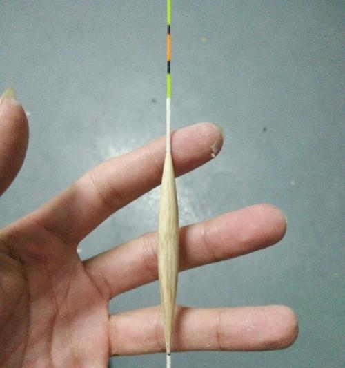 芦苇钓鱼的技巧与方法（掌握钓鱼要领）  第3张