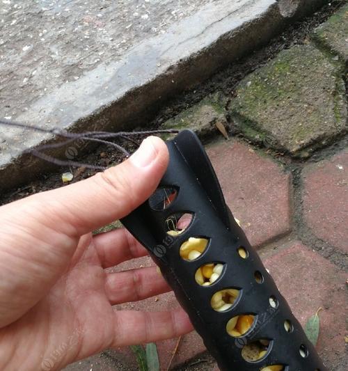 钓鱼技巧与方法大揭秘（掌握钓鱼技巧）  第2张