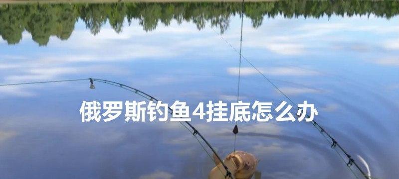 钓鱼技巧与方法教程（钓鱼大全）  第2张