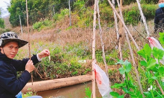 路边水坑钓鱼技巧（妙招让你在路边水坑钓到丰收）  第3张