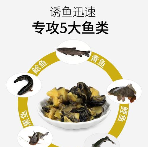 以螺狮肉钓鱼技巧（钓鱼高手分享的螺狮肉钓鱼技巧）  第2张
