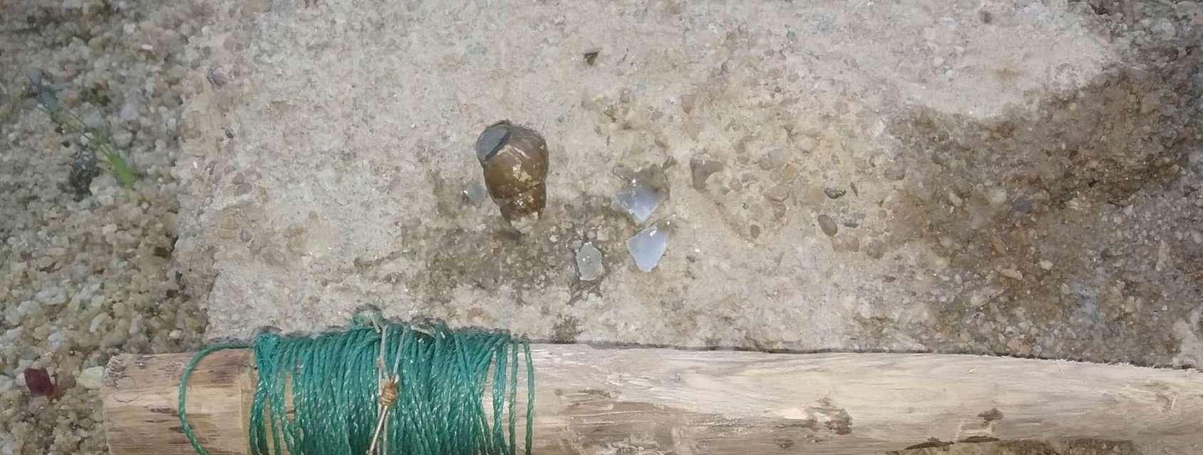 螺蛳钓鱼打窝技巧（掌握正确的窝位选择与钓鱼技巧）  第2张