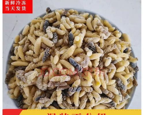 以马蜂幼虫钓鱼技巧（掌握这些技巧）  第1张