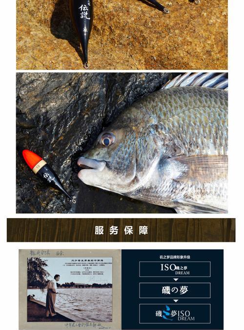 柠檬钓鱼技巧教程（简单易学的钓鱼技巧分享）  第3张