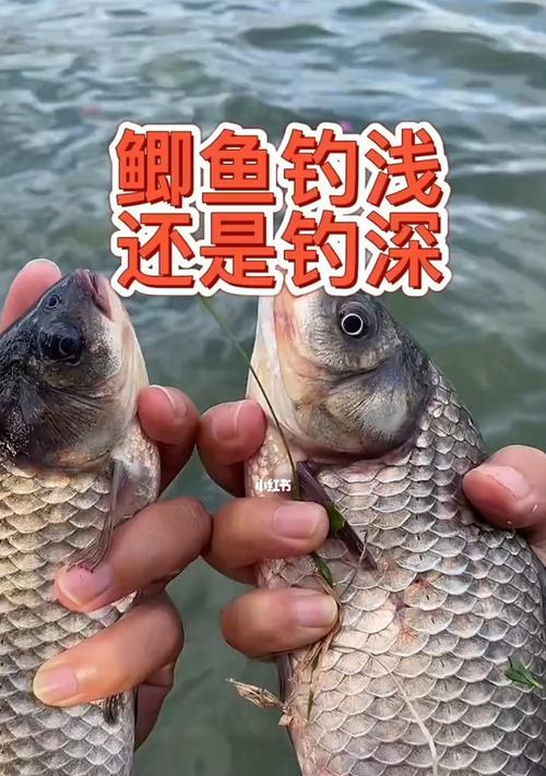 柠檬汁钓鱼技巧（提升钓鱼成功率的秘诀）  第2张