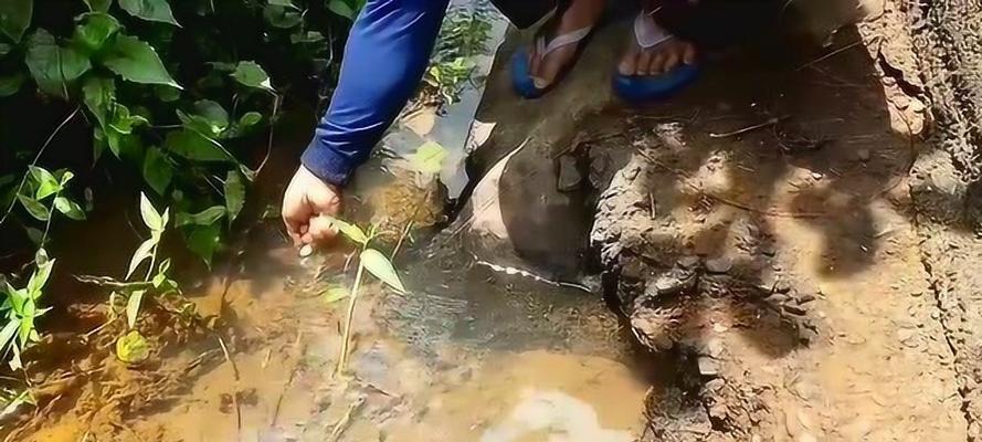 牛人钓鱼技巧法（揭秘牛人钓鱼秘籍）  第1张