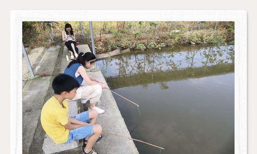 农场钓鱼新手技巧教学（掌握农场钓鱼的基本技巧）  第1张