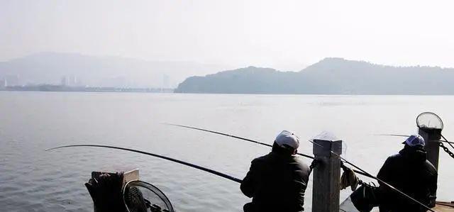 农村钓鱼上竿技巧（让你成为钓鱼高手的必备指南）  第2张