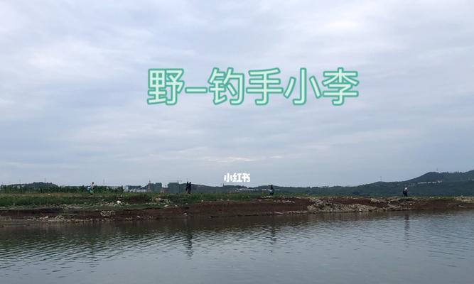 农村钓鱼技巧（掌握农村钓鱼技巧）  第3张