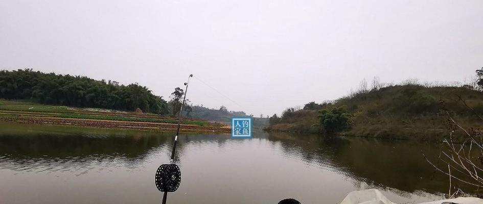 农村小河钓鱼技巧大揭秘（掌握这些技巧）  第2张