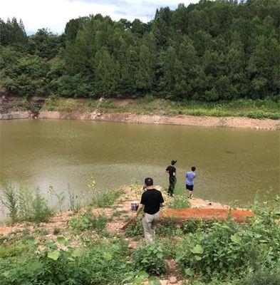 农家小院钓鱼技巧（解锁乐趣尽在家园）  第1张