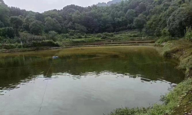 农田小池塘钓鱼技巧（挑选合适的钓具与饵料）  第3张