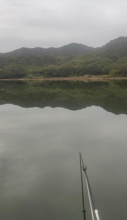 欧阳小白的钓鱼技巧（助你成为钓鱼高手）  第1张
