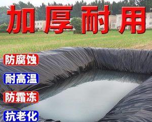藕池钓鱼技巧大揭秘（提升钓鱼成功率的绝佳方法）  第3张